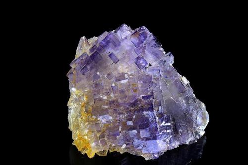 Fluorite<br />Mina Hammam-Zriba, Zriba, Gobernación Zaghouan, Túnez<br />40 x 35 mm<br /> (Author: Gerhard Brandstetter)