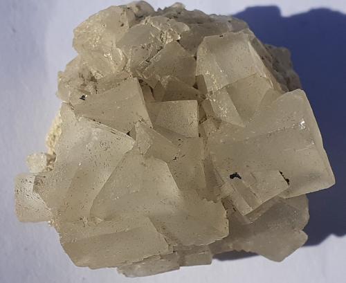 Fluorite<br />Mina Vignola, Valsugana, Vignola-Falesina, Provincia Trento, Trentino-Alto Adige (Trentino-Südtirol), Italia<br />3 x 3 cm<br /> (Author: Volkmar Stingl)