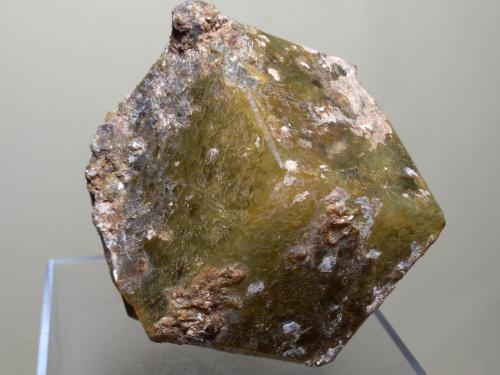 Andradite-Grossular Series<br />Sibinndi, zona Sangafe, Comunidad Diakon, Arrondissement Diakon, Cercle Bafoulabé, Region Kayes, Mali<br />75 x 72 mm<br /> (Author: Sante Celiberti)