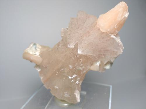 Heulandite-Ca, Stilbite-Ca<br />Distrito Jalgaon, Maharashtra, India<br />9 x 6,5 cm<br /> (Author: Sante Celiberti)