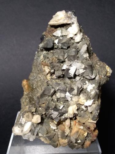 Arsenopyrite, Quartz<br />Complejo Trepča, Valle Trepča, Kosovska Mitrovica, Distrito Kosovska Mitrovica, Kosovo<br />11,5 x 8 cm<br /> (Author: Sante Celiberti)