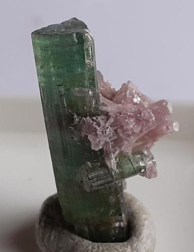 Elbaite, 'lepidolite'<br />Minas Gerais, Brasil<br />2 cm<br /> (Author: Volkmar Stingl)