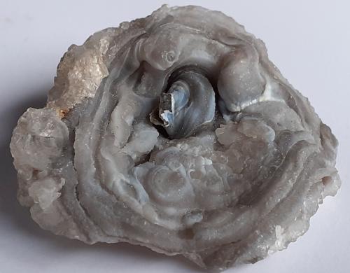 Quartz (variety chalcedony), Quartz<br />Rio Grande do Sul, Brasil<br />4 x 3,5 cm<br /> (Author: Volkmar Stingl)