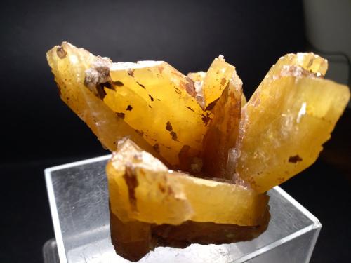 Baryte<br />Mina Clara, Valle Rankach, Oberwolfach, Wolfach, Selva Negra, Baden-Württemberg, Alemania<br />73 x 62 mm<br /> (Author: Sante Celiberti)