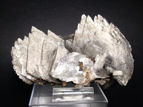 Baryte<br />Mina Clara, Valle Rankach, Oberwolfach, Wolfach, Selva Negra, Baden-Württemberg, Alemania<br />12 x 9,5 cm<br /> (Author: Sante Celiberti)