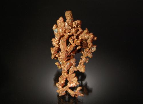 Copper<br />Mina Rocklands, Cloncurry, Distrito Cloncurry, Queensland, Australia<br />6.1 x 3.5 cm<br /> (Author: Michael Shaw)