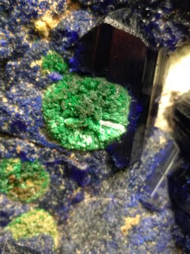 Azurite, Malachite, Tsumcorite, Schultenite, Beaverite-(Cu), Copper, Zincolivenite, Keyite, Calcite<br />Mina Tsumeb, Tsumeb, Región Otjikoto, Namibia<br />85 x 75 mm<br /> (Author: Sante Celiberti)