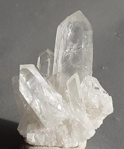 Quartz<br />Túnel Gaolingxia (obras), Jianyang, Prefectura Nanping, Provincia Fujian, China<br />3,5 x 2,5 cm<br /> (Author: Volkmar Stingl)