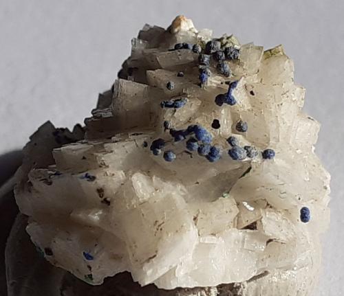 Azurite, Dolomite<br />Distrito minero Ringenwechsel, Troi, Distrito Schwaz, Valle Inn, Tirol Norte, Tirol, Austria<br />1,5 x 1,5 cm<br /> (Author: Volkmar Stingl)