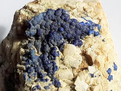 Azurite, Dolomite<br />Distrito minero Ringenwechsel, Troi, Distrito Schwaz, Valle Inn, Tirol Norte, Tirol, Austria<br />3 x 3 cm<br /> (Author: Volkmar Stingl)