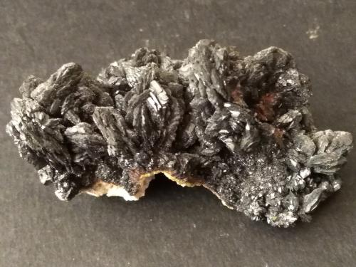 Descloizite<br />Berg Aukas, Distrito Grootfontein, Región Otjozondjupa, Namibia<br />65 x 35 mm<br /> (Author: Sante Celiberti)