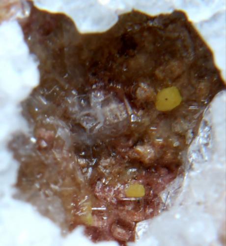 Kleinita<br />Mina McDermitt, Cordero, Distrito Opalite, Condado Humboldt, Nevada, USA<br />< 1 mm<br /> (Autor: José Luis Zamora)