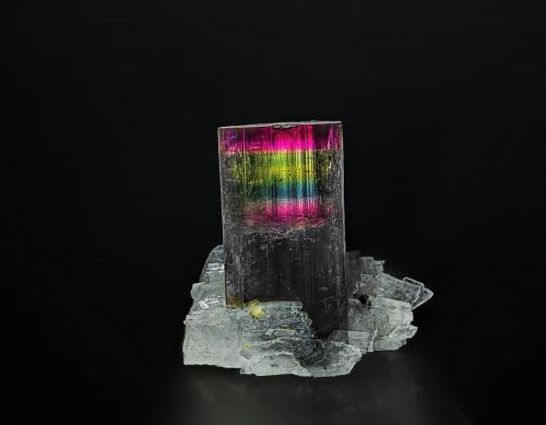 Elbaite, Albite<br />Coronel Murta, Jequitinhonha, Minas Gerais, Brasil<br />3.6 x 3.4 cm<br /> (Author: am mizunaka)