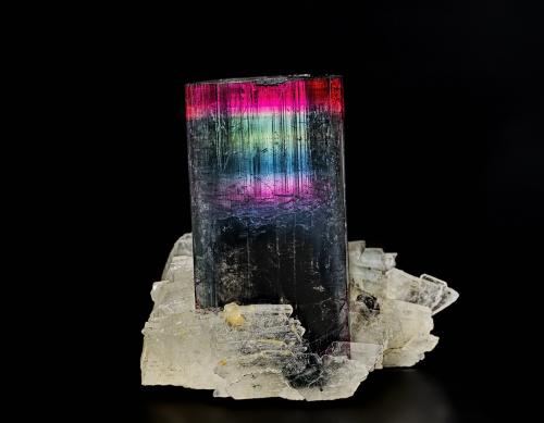 Elbaite, Albite<br />Coronel Murta, Jequitinhonha, Minas Gerais, Brasil<br />3.6 x 3.4 cm<br /> (Author: am mizunaka)