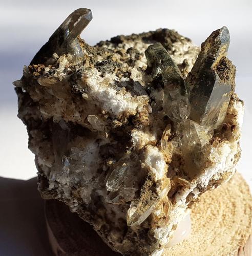 Quartz, Actinolite, Tremolite, Rutile, Chlorite (Group)<br />Saurüssel, Zona Mörchner, Zemmgrund, Valle Ziller (Zillertal), Tirol Norte, Tirol, Austria<br />7 x 6 cm<br /> (Author: Volkmar Stingl)