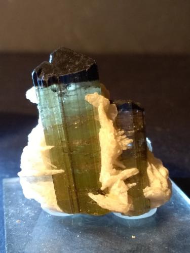 Tourmaline (Group), Albite<br />Stak Nala, Montes Haramosh, Distrito Skardu, Gilgit-Baltistan (Áreas del Norte), Paquistán<br />37 x 30 mm<br /> (Author: Sante Celiberti)