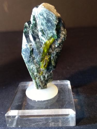 Titanite, Diopside<br />Valle Tormiq, Distrito Baltistán, Gilgit-Baltistan (Áreas del Norte), Paquistán<br />42 x 23 mm<br /> (Author: Sante Celiberti)