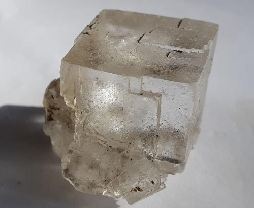 Halite<br />Mina Hallein Salt, Dürrnberg, Hallein, Distrito Hallein, Salzburgo/Salzburg, Austria<br />3 x 3 cm<br /> (Author: Volkmar Stingl)