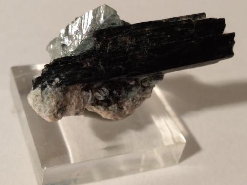 Titanite, Ferro-actinolite<br />Valle Shigar, Distrito Shigar, Gilgit-Baltistan (Áreas del Norte), Paquistán<br />40 x 22 mm<br /> (Author: Sante Celiberti)