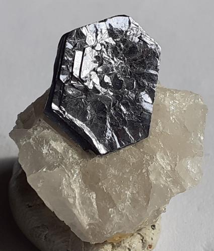 Molybdenite<br />Mina Moly Hill, La Motte, Abitibi RCM, Abitibi-Témiscamingue, Québec, Canadá<br />2,5 x 2 cm<br /> (Author: Volkmar Stingl)