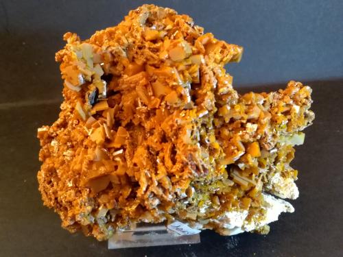 Wulfenite<br />Sierra de Los Lamentos, Municipio Ahumada, Chihuahua, México<br />11 x 9,5 cm<br /> (Author: Sante Celiberti)