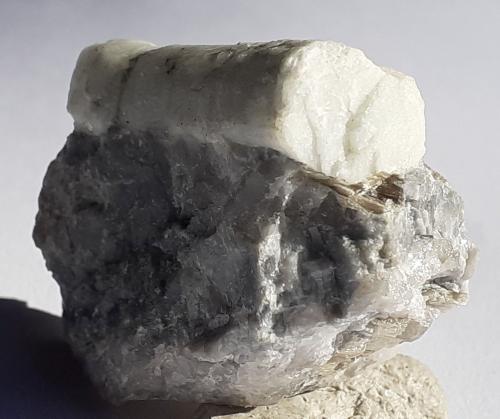 Beryl<br />Garganta Masul (Masulschlucht), Merano (Meran), Provincia autónoma Tirol del Sur, Trentino-Alto Adige (Trentino-Südtirol), Italia<br />3 x 2,5 cm<br /> (Author: Volkmar Stingl)