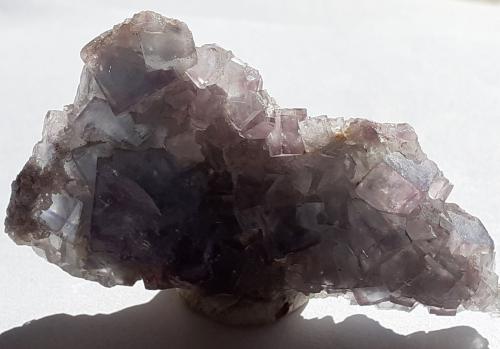 Fluorite<br />Mina Yaogangxian, Yizhang, Prefectura Chenzhou, Provincia Hunan, China<br />5,5 x 3 cm<br /> (Author: Volkmar Stingl)