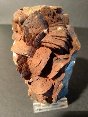 Siderite<br />Vizille, Grenoble, Isère, Auvergne-Rhône-Alpes, Francia<br />10 x 6 cm<br /> (Author: Sante Celiberti)