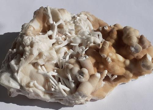 Aragonite (variety flos ferri)<br />Erzberg, Eisenerz (Steiermark), Distrito Leoben, Estiria/Steiermark, Austria<br />13 x 9 cm<br /> (Author: Volkmar Stingl)