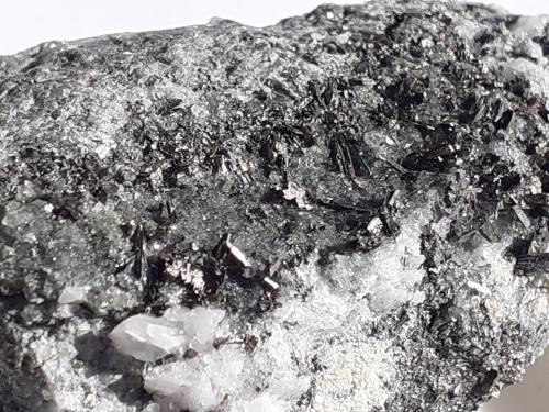 Arsenopyrite<br />Biberg, Saalfelden, Distrito Zell am See, Hohe Tauern, Salzburgo/Salzburg, Austria<br />4 x 3 cm<br /> (Author: Volkmar Stingl)