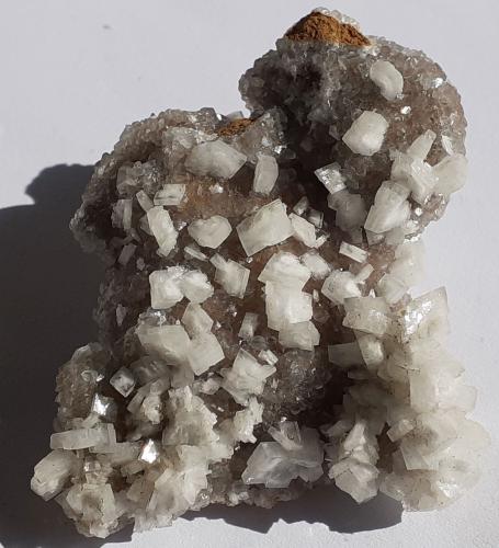 Baryte and Calcite on Magnesite<br />Depósito de magnesita, Bürglkopf, Hochfilzen, Distrito Kitzbühel, Tirol Norte, Tirol, Austria<br />6 x 5,5 cm<br /> (Author: Volkmar Stingl)