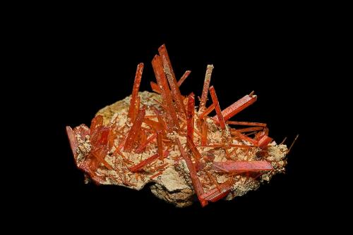 Crocoite<br />Mina Adelaide, Campo minero Dundas, Distrito Zeehan, Consejo Costa Oeste, Tasmania, Australia<br />5.0 x 3.4 cm<br /> (Author: am mizunaka)