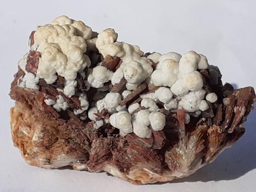 Aragonite, Baryte<br />Minas Paleokamariza, Distrito minero Lavrion, Prefectura Attikí (Attica), Grecia<br />4,5 x 2,5 cm<br /> (Author: Volkmar Stingl)