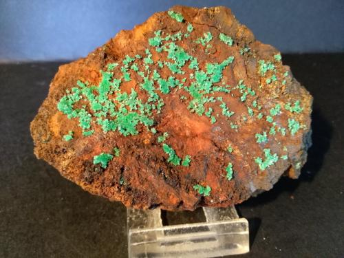 Cuproadamite<br />Minas Kamariza, Agios Konstantinos, Distrito minero Lavrion, Prefectura Attikí (Attica), Grecia<br />10,4 x 7 cm<br /> (Author: Sante Celiberti)