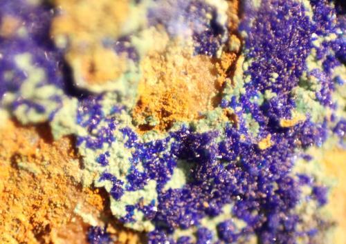 Azurite<br />Mina Reformada, El Pinar de Bédar, Bédar, Comarca Levante Almeriense, Almería, Andalucía, España<br />FOV 10 mm<br /> (Author: Firmo Espinar)