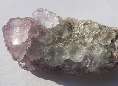 Fluorite<br />Túnel tren alta velocidad Chengnan, Wuyishan, Prefectura Nanping, Provincia Fujian, China<br />4 x 1,5 cm<br /> (Author: Volkmar Stingl)