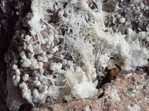 Dawsonite, Aragonite, Quartz<br />Terlano (Terlan), Provincia Bolzano, Trentino-Alto Adige (Trentino-Südtirol), Italia<br />8 x 6 cm<br /> (Author: Volkmar Stingl)