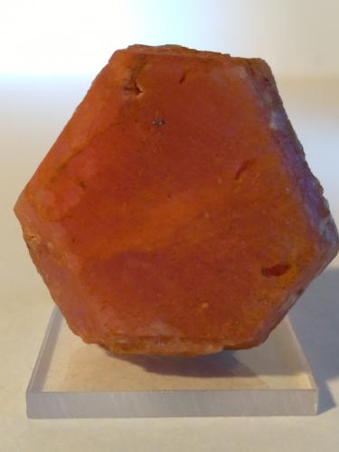 Corundum (variety ruby)<br />Cantera Sivec, Monte Sivec, Prilep, Mariovo, República de Macedonia del Norte<br />37 x 35 x 20 mm<br /> (Author: Sante Celiberti)