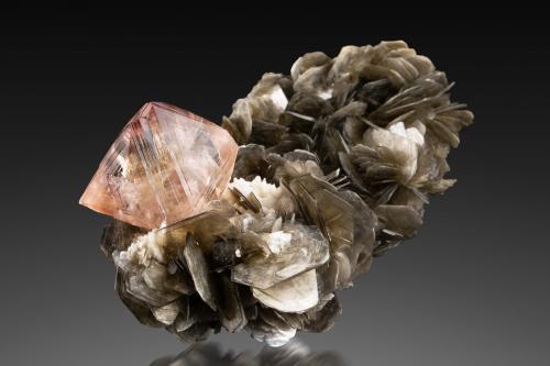 Fluorita<br />Chumar Bakhoor, Valle Hunza, Distrito Nagar, Gilgit-Baltistan (Áreas del Norte), Paquistán<br />10 x 7 x 5.5 cm / cristal principal: 3.5 cm<br /> (Autor: Museo MIM)