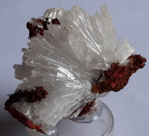 Hemimorphite<br />Mina Ojuela, Mapimí, Municipio Mapimí, Durango, México<br />4,5 x 4,5 cm<br /> (Author: Volkmar Stingl)