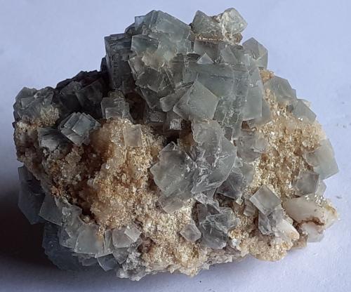 Fluorite<br />Lago Rieding ("Wiener Loch"), Zona Pico Weißeck, Murwinkel, Lungau, Salzburgo/Salzburg, Austria<br />4,5 x 3,5 cm<br /> (Author: Volkmar Stingl)