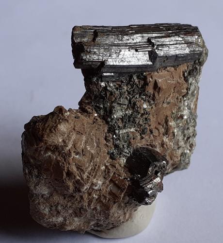 Rutile<br />Mina Arsenic, Unterer Rotgülden See, Rotgülden, Lungau, Salzburgo/Salzburg, Austria<br />3,5 x 3 cm<br /> (Author: Volkmar Stingl)