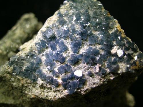 Blue Quartz.
Los Vives - Orihuela - Alicante (Spain)
Size of the specimen: 60x40mm (Author: trencapedres)