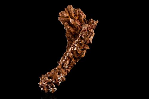 Cobre<br />Mina Phoenix, Phoenix, Condado Keweenaw, Michigan, USA<br />10.5	x 10.5 x 19.5 cm<br /> (Autor: Museo MIM)