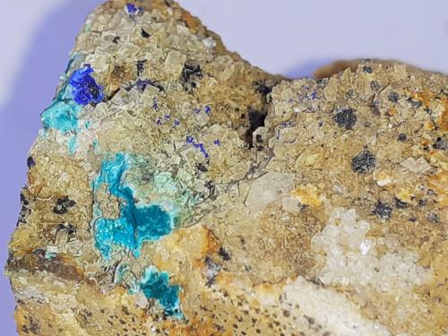 Azurite, Malachite, Quartz, Dolomite<br />Distrito minero Ringenwechsel, Troi, Distrito Schwaz, Valle Inn, Tirol Norte, Tirol, Austria<br />FoV 3 x 2 cm<br /> (Author: Volkmar Stingl)