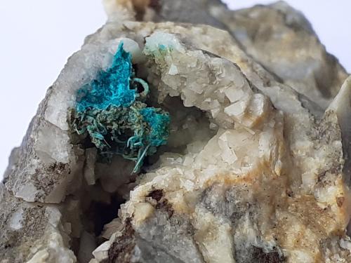 Malachite, Dolomite<br />Distrito minero Ringenwechsel, Troi, Distrito Schwaz, Valle Inn, Tirol Norte, Tirol, Austria<br />FoV 1,5 x 1 cm<br /> (Author: Volkmar Stingl)