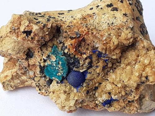 Azurite, Malachite, Dolomite<br />Distrito minero Ringenwechsel, Troi, Distrito Schwaz, Valle Inn, Tirol Norte, Tirol, Austria<br />3 x 2,5 cm<br /> (Author: Volkmar Stingl)