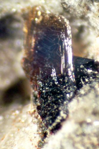 Ferrohornblenda<br />Canteras Pollena, Pollena Trocchia, Monte Somma, Complesso Somma-Vesuvio, Ciudad metropolitana de Nápoles, Campania, Italia<br />< 1 mm<br /> (Autor: José Luis Zamora)