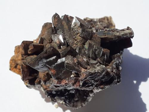 Descloizite<br />Berg Aukas, Distrito Grootfontein, Región Otjozondjupa, Namibia<br />5 x 4,5 cm<br /> (Author: Volkmar Stingl)