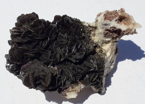 Descloizite<br />Berg Aukas, Distrito Grootfontein, Región Otjozondjupa, Namibia<br />6,5 x 4 cm<br /> (Author: Volkmar Stingl)